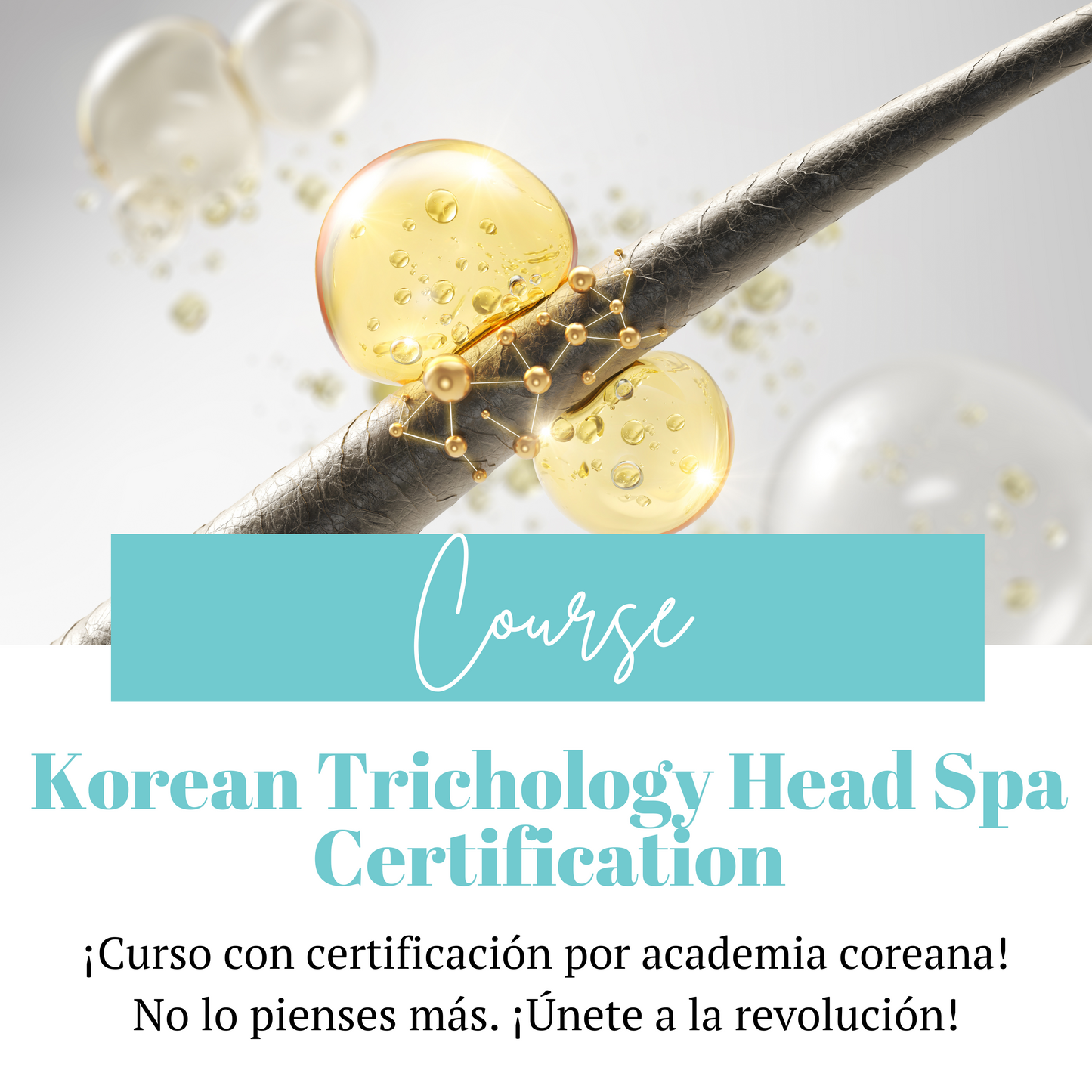 Curso | Korean Trichology Head Spa