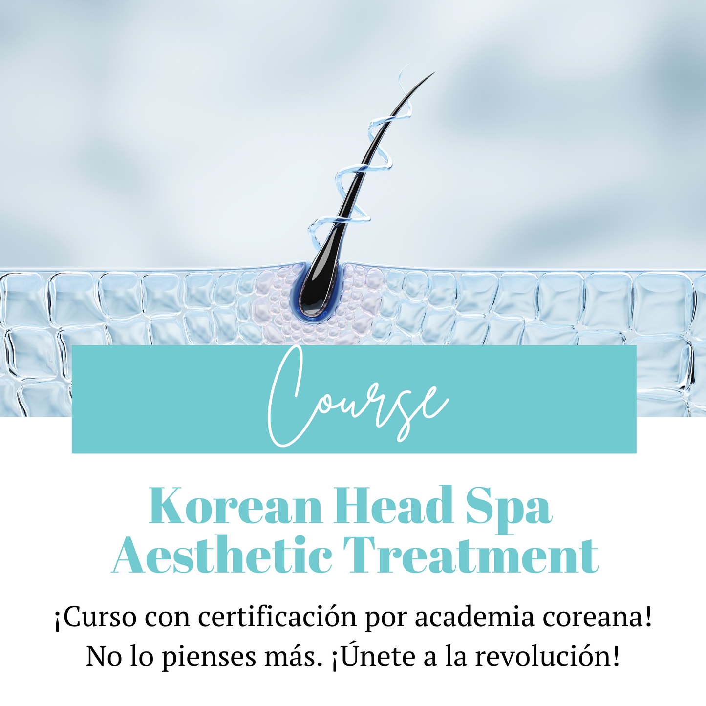 Curso | Korean Head Spa