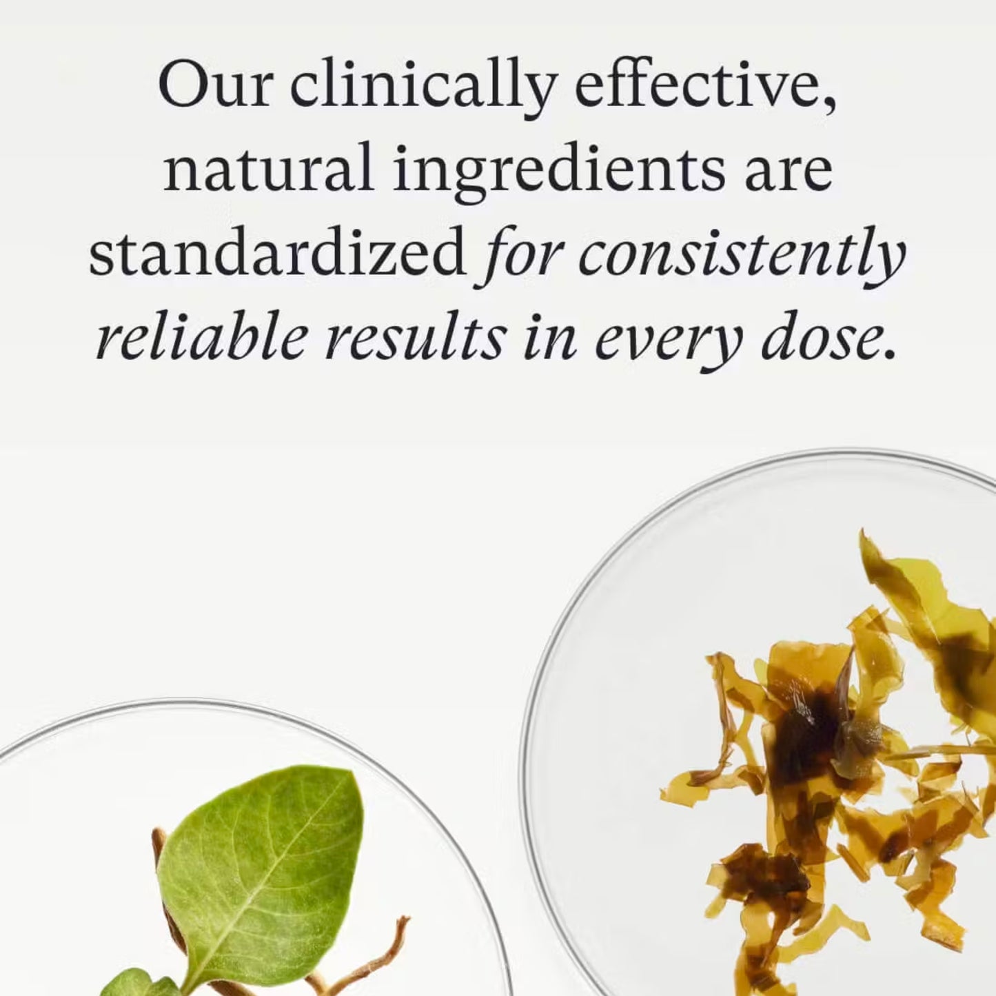 Nutrafol | Women Hair Growth Nutraceutical
